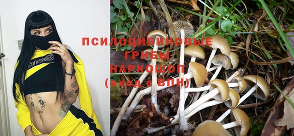 spice Абинск